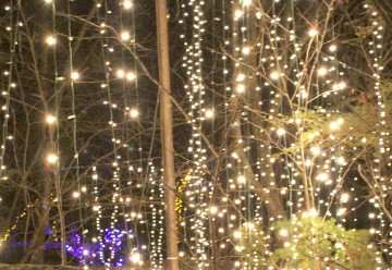 Constanţa va avea mai multe luminiţe de Crăciun: se vor aprinde pe 6 decembrie